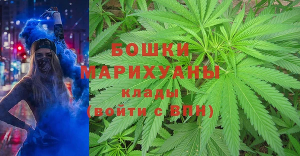 стафф Белокуриха