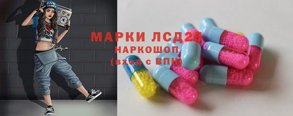 стаф Беломорск