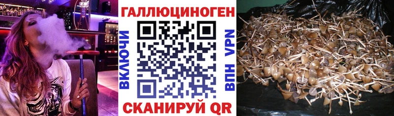Псилоцибиновые грибы ЛСД  цена наркотик  Реутов 